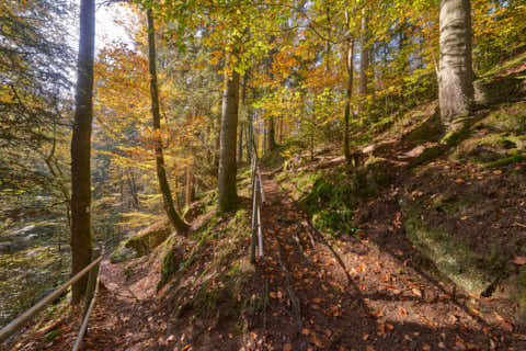 Gemeinde Obernzell Landkreis Passau Erlau Erlautal Wanderweg Abzweigung (Dirschl Johann) Deutschland PA